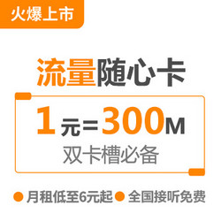 China unicom 中国联通 上海日租电话卡