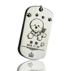 petfun 宠趣 宠物 定制宠物身份牌 S号