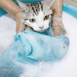 猫咪洗猫袋