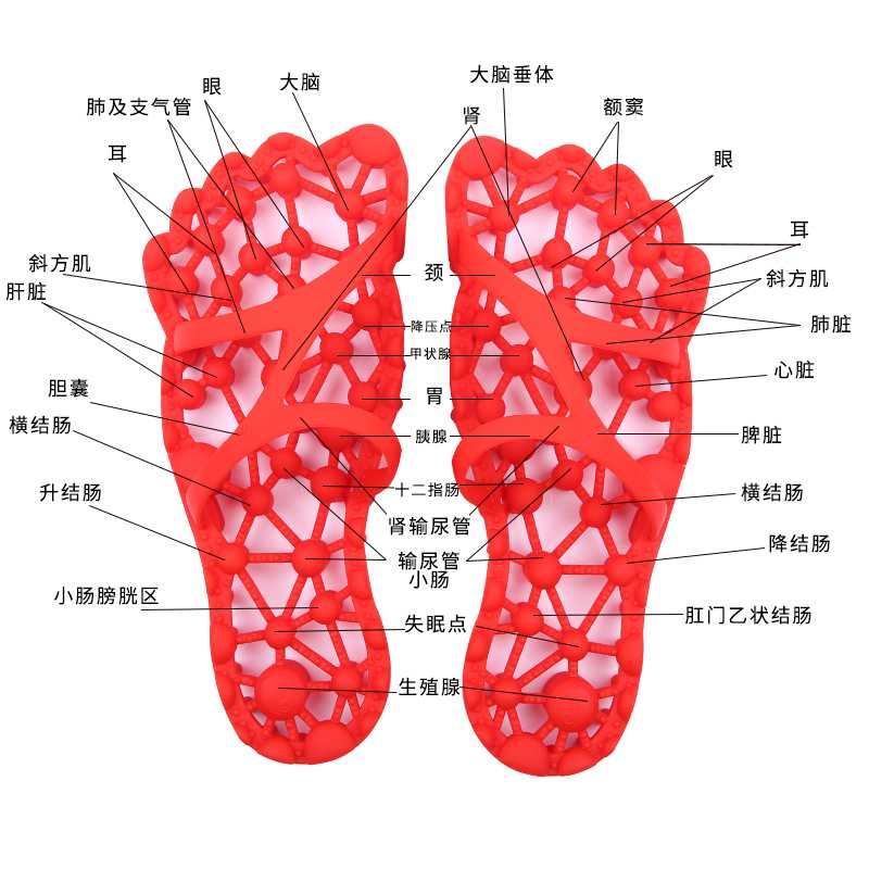 万里牛 WLN000 家居按摩拖鞋