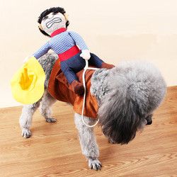阿莫尔 宠物 狗狗骑士衣服