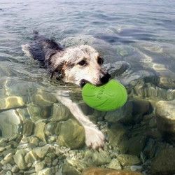 好友宠友 浮水飞盘 小型犬适用 小号 *2件