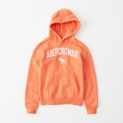Abercrombie Kids 男童 Logo 图案帽衫 197806-1 AF