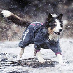 中亚Prime会员 : Hurtta 专业户外狗狗雨衣
