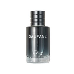 Dior 迪奥 旷野男士淡香水 60ml