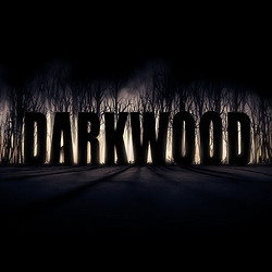 《Darkwood（阴暗森林）》PC数字版游戏