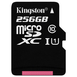 Kingston 金士顿 U1 C10 256GB TF存储卡