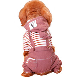 华元宠具宠物狗狗衣服泰迪博美中小型犬秋冬装女巫连帽背带装M *4件