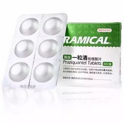 雷米高 宠物驱虫药 6粒装
