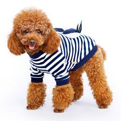华元宠具狗狗衣服春秋比熊泰迪小狗幼犬两脚变身装条纹衫蓝白L