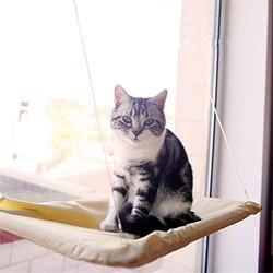 卡沐森 TV吸盘猫吊床 窗台挂窝