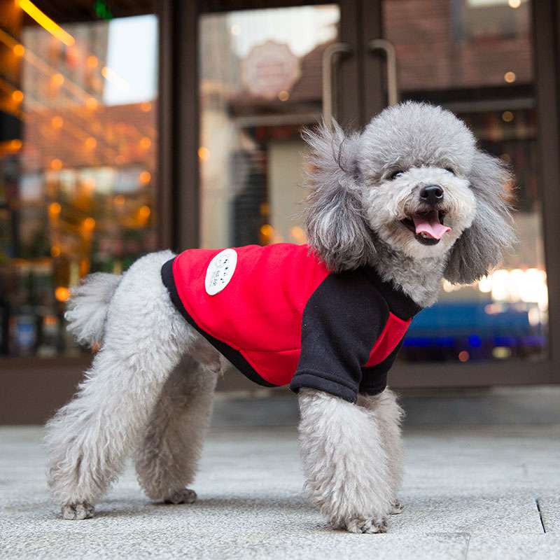 hipidog 嬉皮狗 宠物小背心
