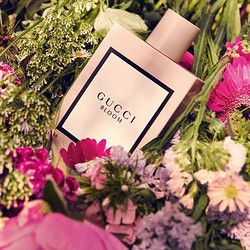 GUCCI 古驰 Bloom 花悦女士香水 50ml