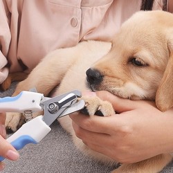 宠物猫咪指甲剪 磨甲器狗狗剪指甲刀猫指甲剪神器指甲钳宠物用品 大号蓝色