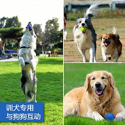 狗狗玩具球耐咬狗球金毛玩具训狗训犬耐咬巡回球橡胶球实心训狗球